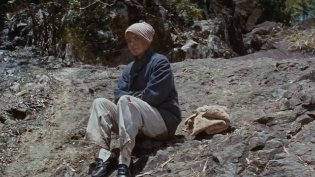 Swiss Family Robinson 1960 - John Mills, Dorothy McGuire, James MacArthur ,  Adventure, Family - Hd