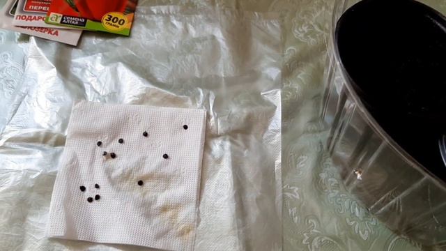 Огородные дела. 2 марта. Сеем перец. все просто и быстро. смотреть онлайн