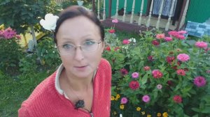 Видео привет с 6 соток 14 августа 2024 года.