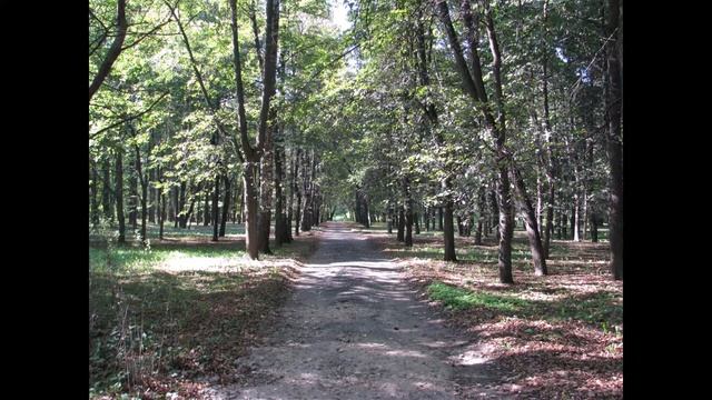 Автозаводский парк глазами Нижегородца смотреть онлайн