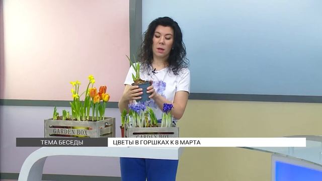 Как выбрать цветы в горшках к 8 Марта? смотреть онлайн