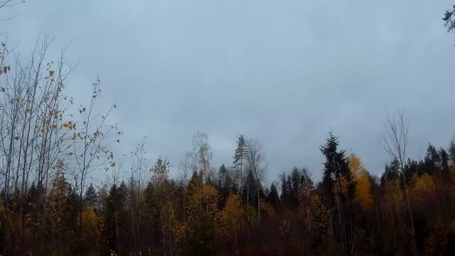 ВЕЗДЕХОД НА КОЛЕСАХ смотреть онлайн