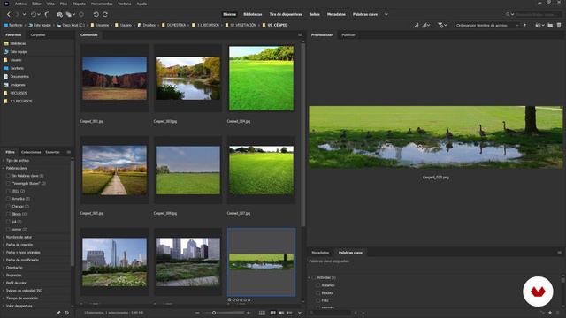 009 - We collect information (1920x1080)