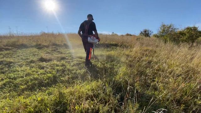 Stihl Fs 561 C-EM cutting grass with Stihl autocut 56-2 and Stihl CF3-pro 3,3 mm trimmer line. смотреть онлайн