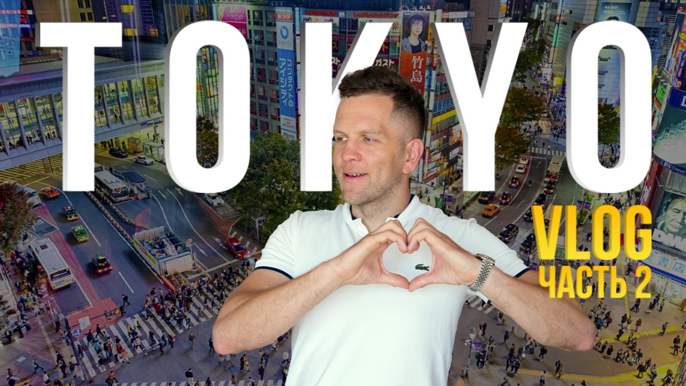 Япония ВЛОГ🇯🇵 Аукцион USS Tokyo / Japan Mobility Show 🚗 смотреть онлайн