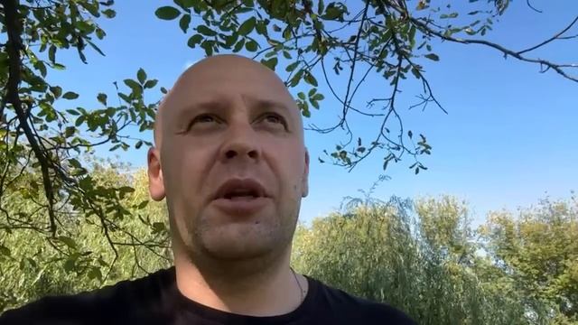 Новый закон 9185, просто послушайте. На Донат 5375 4114 0797 7045 смотреть онлайн