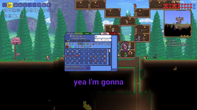 Becoming Experts in Anatomy while Playing Terraria смотреть онлайн