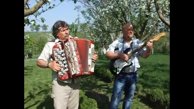 Баян Barcarole Professional "Калины куст" смотреть онлайн
