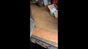 Метки ремня ГРМ Ford Mondeo 4 2.0 TDCI