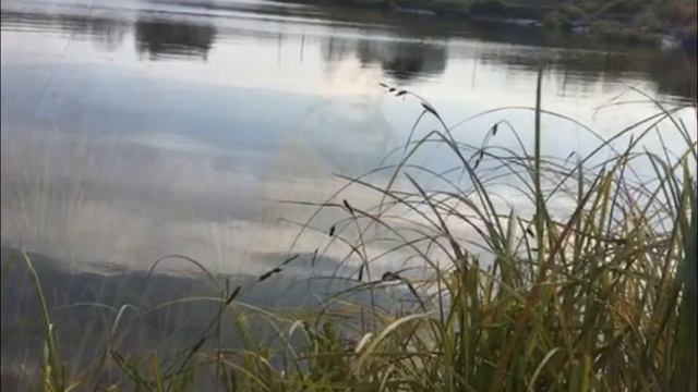 Карина Ярулина 