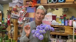 Скабиоза - редкий сезонный цветок для изысканных букетов