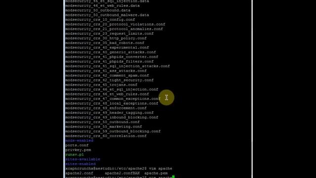 Configuración de PHP para el cluster HA - Servidor Debian Linux 10/11 смотреть онлайн