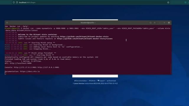 Setting up Minio using Docker or Install Minio Docker смотреть онлайн