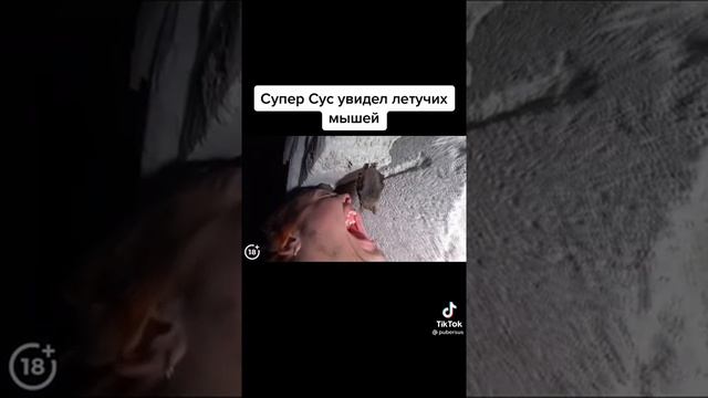Супер Сус увидел летучих мышей смотреть онлайн