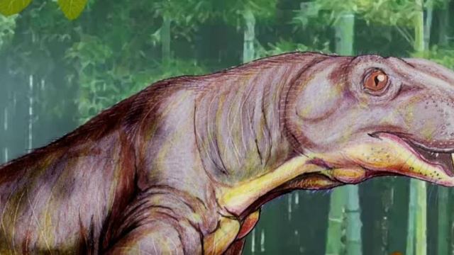 факты про горгонопса.часть 1(животное живший до диназавров) смотреть онлайн