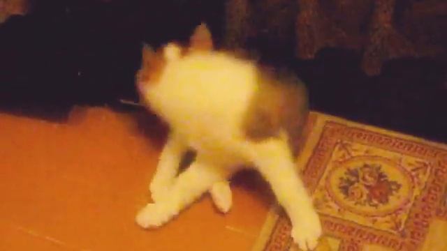 щенок лайки смотреть онлайн