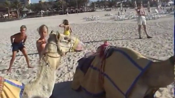 Dubai 2001Chameau Darius Mimi Arianna