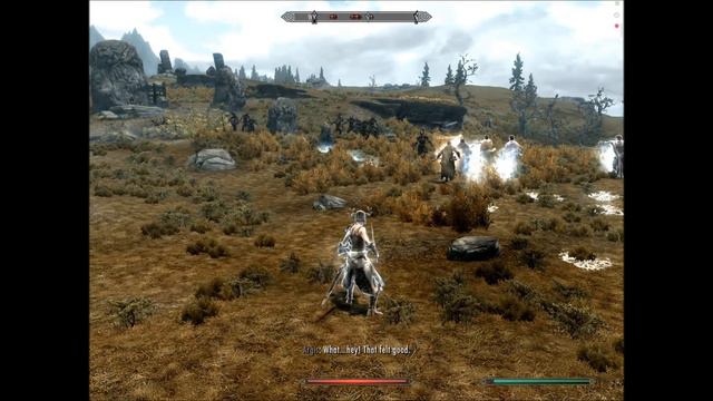 Vanilla Follower's AI for Healer смотреть онлайн