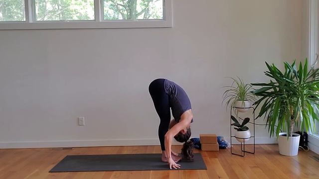Yoga Lab: Understanding Sun Salutations смотреть онлайн