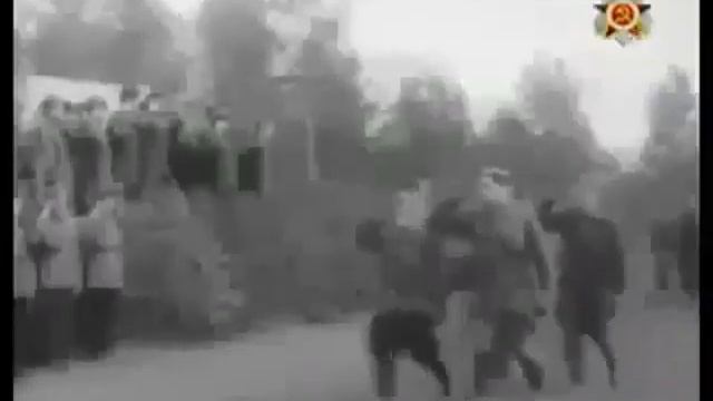 бетонный фундамент на винтовых сваях смотреть онлайн