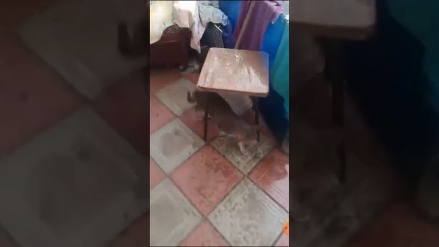 гроза и дождь⛈2ч смотреть онлайн