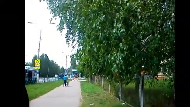Russia. Birch trees. Россия. Березы. смотреть онлайн
