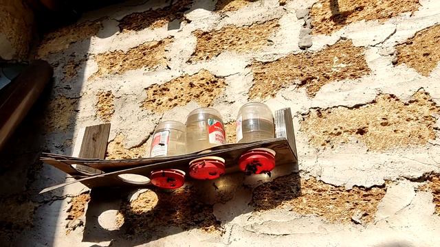 Сегодня на пасеке.22 Февраля 2022г. Приучаю пчел к поилке.... смотреть онлайн