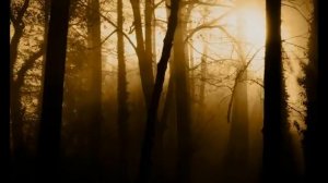 Лучшие Цыганские Песни и Романсы (101 tracks)