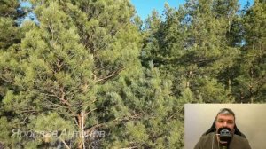 Последний вагон. Ярослав Антонов