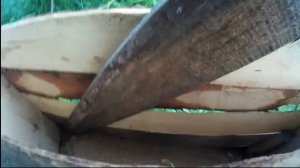 Кормушка для кабана с зерном