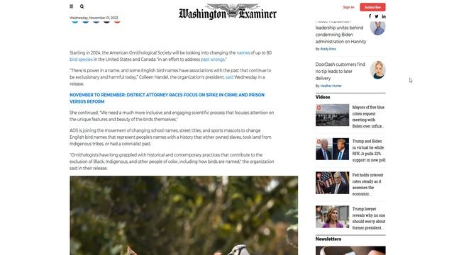 The American Ornithological Society To Change Bird Names Due To Racism