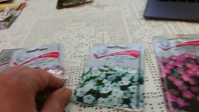 Петуния . СЕРИИ у петунии. Лучшие семена петунии. Как выбрать смотреть онлайн