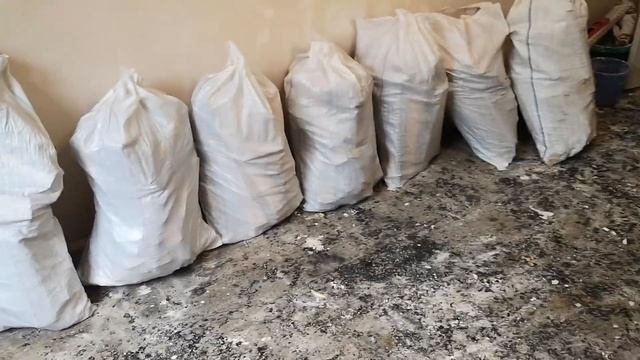 Как снять паркет смотреть онлайн