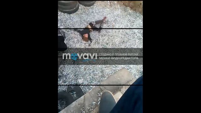 Крутой кувырок