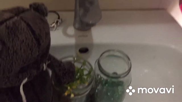 Как поменять воду в аквариуме смотреть онлайн