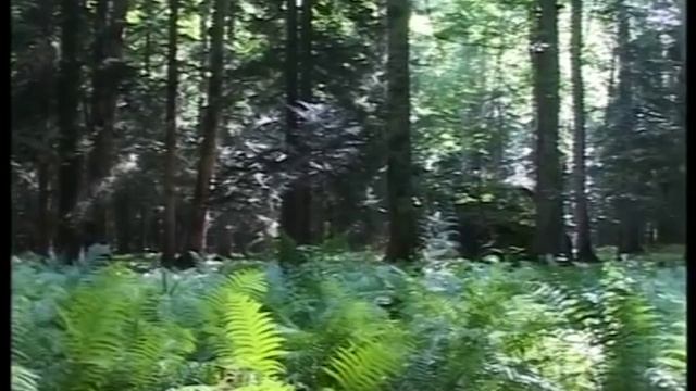 От Псебая до Красной Поляны через перевал Аишхо. смотреть онлайн