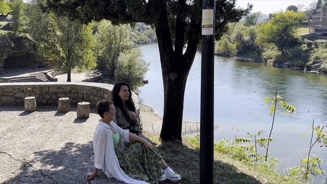 Функции речи. На какие сферы жизни повлияет отсутствие полной речевой нормы у ребенка смотреть онлайн