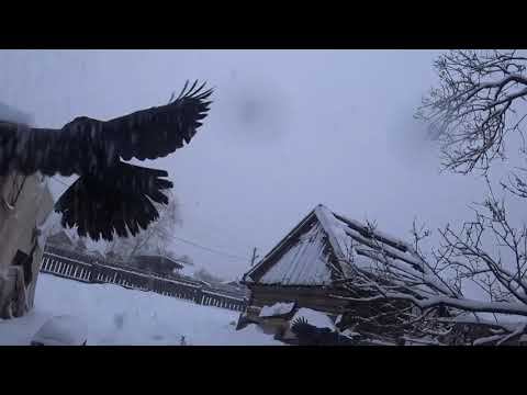 Анонс ахинеи. смотреть онлайн