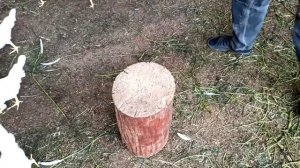 Изобретаем жердочку для кур - несушек
