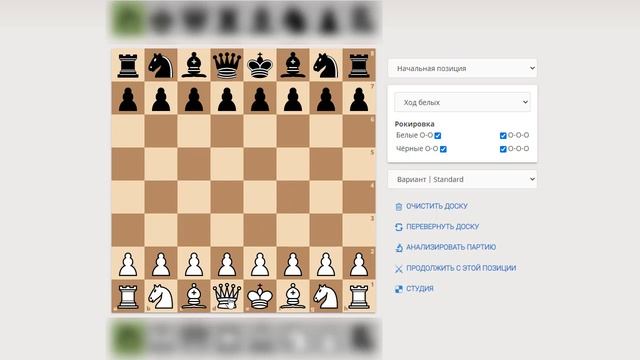 Как научиться играть в шахматы за 48 минут смотреть онлайн