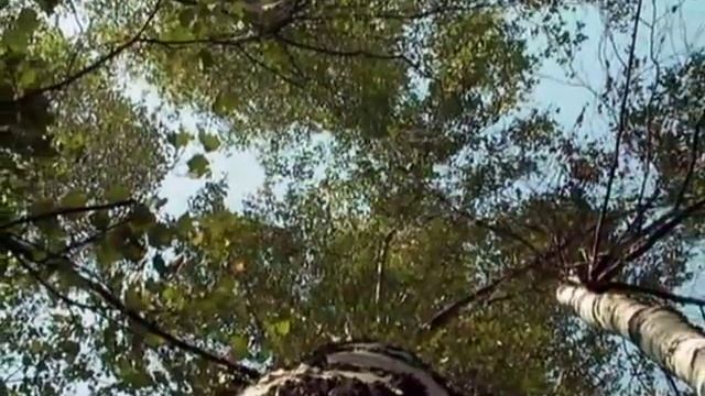 МАДАЕВО Нижегородская обл Починковский р н часть 1 смотреть онлайн