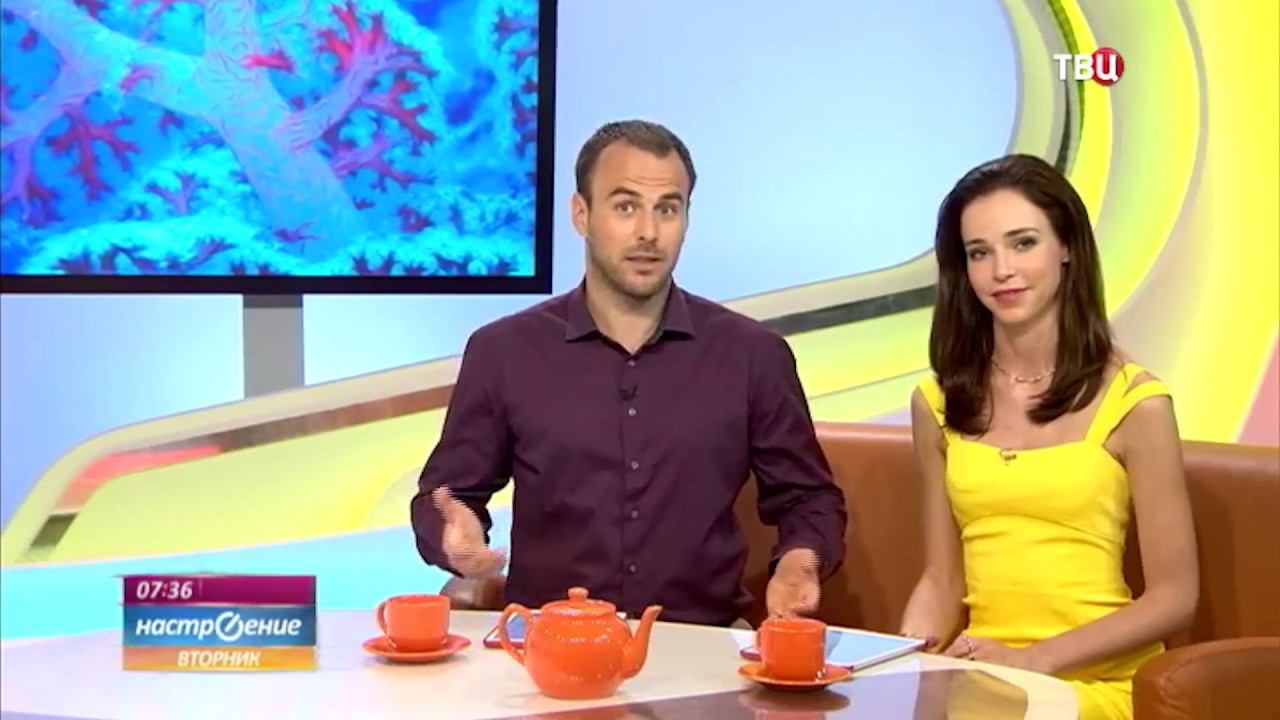 Как поддержать баланс натрия и калия: Владимир Подхомутников на телеканале ТВЦ смотреть онлайн