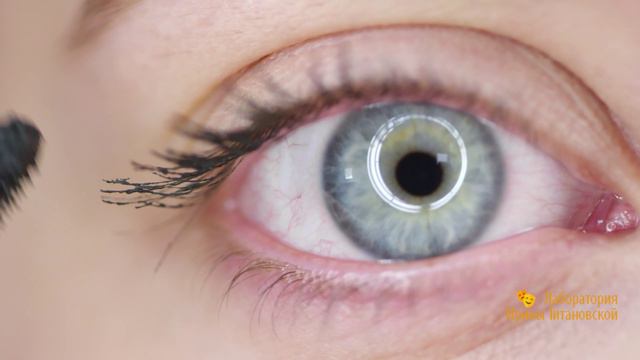 ПЁТР ВАСИЛЬИЧ смотреть онлайн