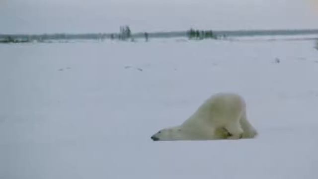 РОБЛОКС против РЕАЛЬНОЙ ЖИЗНИ 7 ROBLOX vs Real life Roblox против реальная ж смотреть онлайн