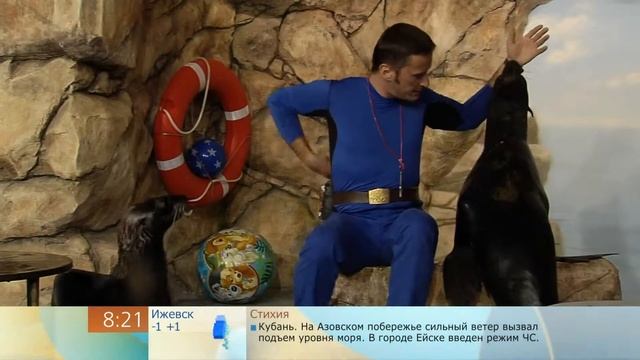 сюжет "Как с гуся вода" смотреть онлайн