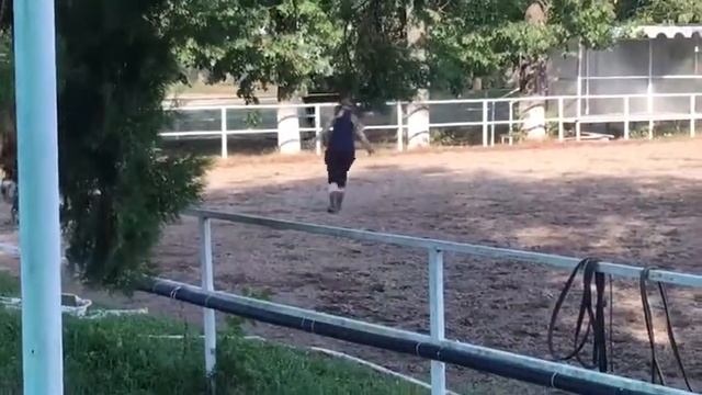 Воспитание лошади без железа смотреть онлайн