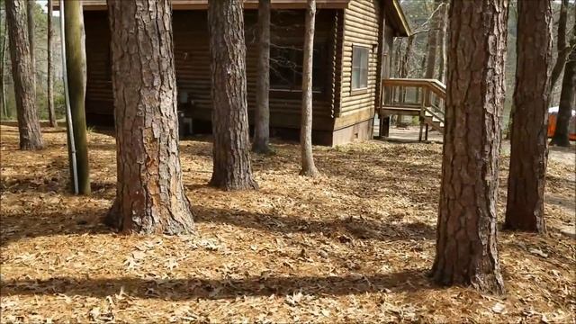 North Toledo Bend State Park | Louisiana State Parks | Best RV Destination In Louisiana!!