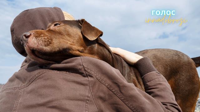 Достучаться до небес - ©️Inna Dobrozi 28.10.2022 смотреть онлайн