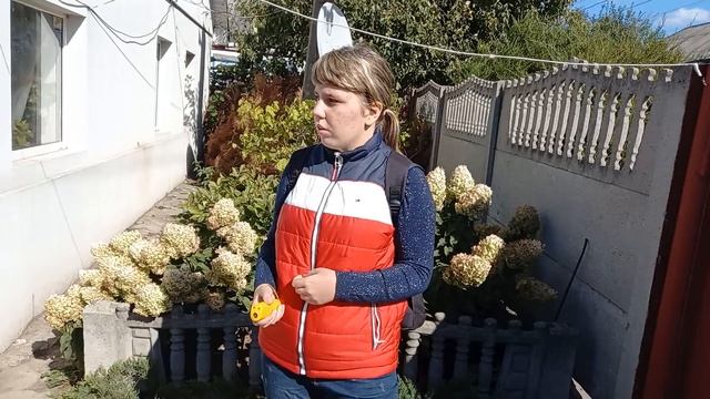 Ультразвуковой отпугиватель собак. смотреть онлайн