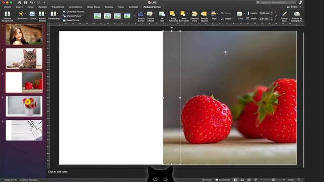 Растягиваем часть фотки до 16:9 | Кот от презы #3 смотреть онлайн